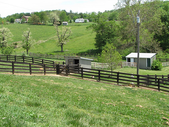 view of the yard